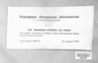 Image Associated With the Occurence
